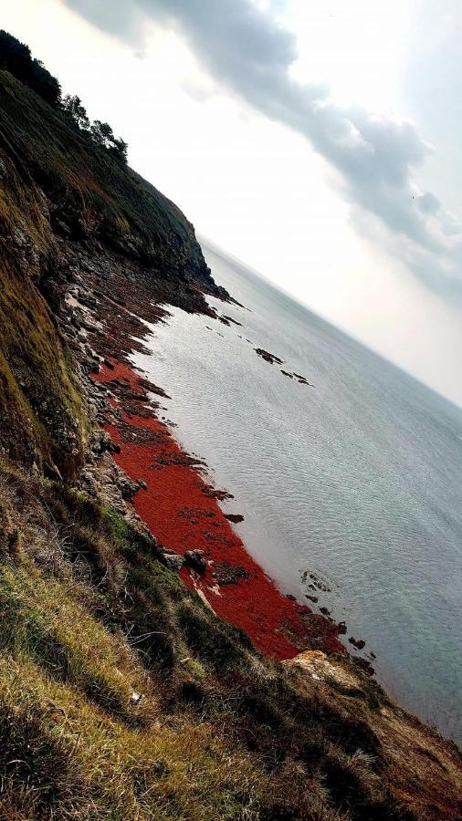 Ker Goh Velin Villa Saint-Gildas-de-Rhuys Exteriör bild